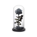 Everlasting Rose (Black)